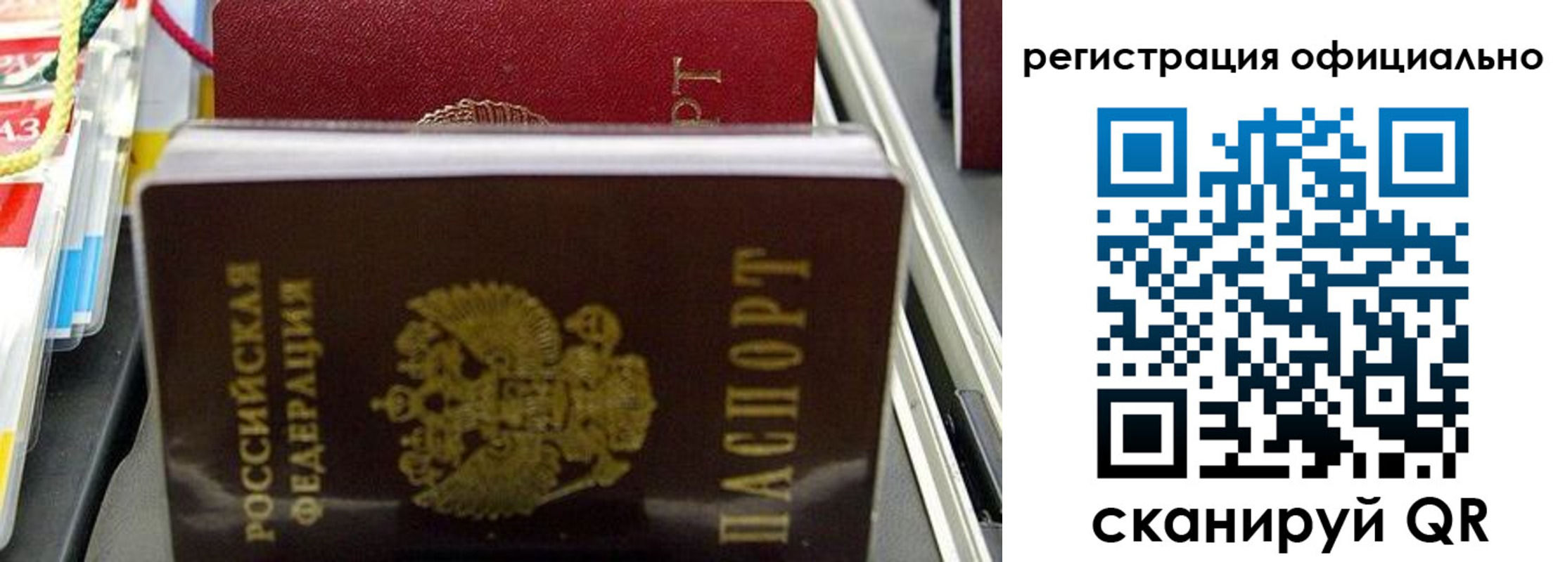 прописка 2025 в Ростове